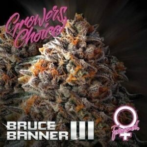 BRUCE BANNER III (GROWERS CHOICE) FEMINIZED